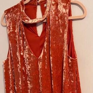 Lily Star Burnt Orange Velvet Dress